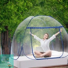 레이스아이돔캐노피