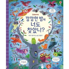 깜깜한 밤에 너도 찾았니?:머리가 좋아지는 숨은그림찾기, 어스본코리아