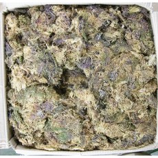 말린우뭇가사리