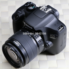 캐논입문용dslr
