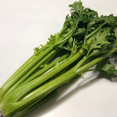 [야채마루] 셀러리 샐러리 (빠른배송), 2kg, 1박스
