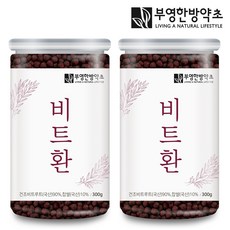 정이가비트