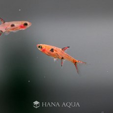 fefe2fd6dbc2ff74ebf7e557042cc5d59d0429966f1a690997c2c4f86a0d.jpg