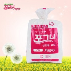 포그니100매