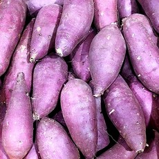 산지직송 맛있는 황토 세척 고구마 밤고구마 꿀고구마, 1개, 꿀 2kg 대