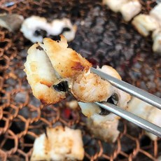 대맛조개