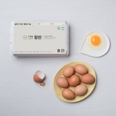 계란 TOP01