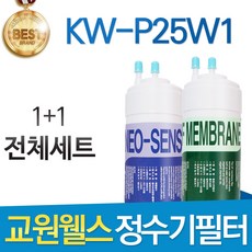 웰스정수기