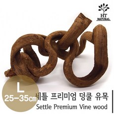 세틀 프리미엄 덩쿨 유목 L (25~35cm), 1개