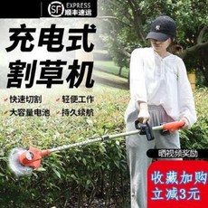 정원제