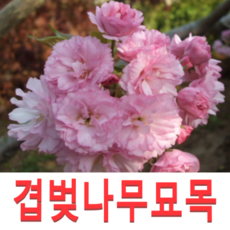 fd7b01ef23ce14bf4ac7081ada0edf78758be69001002f8e326ed2e103ed.png