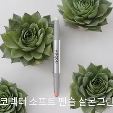 노베브 컬러 코렉터 펜슬 1개 크레용 ...