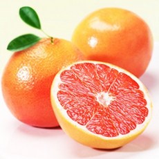 자몽프래그런스