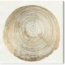쿠오레x