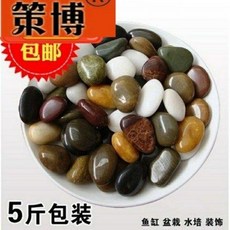 몽돌