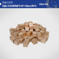 초등교과원목쌓기나무100