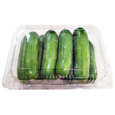 피콜리노쇼파