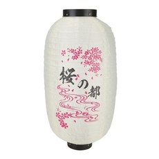 돌성장동영상꽃길