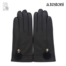 테스토니장갑