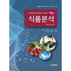 식품분석:이론 및 실습 | 식품(산업)기사 분석 실기문제 수록, 지구문화사, 금종화,김정숙,김지상 등저