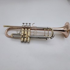 바하트럼펫수입