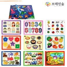 하뚱브레인10종세트