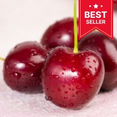 [전문가추천] cherry 프리미엄 특품 생 체리, 1박스, 특대 사이즈 (9.5R) 1kg