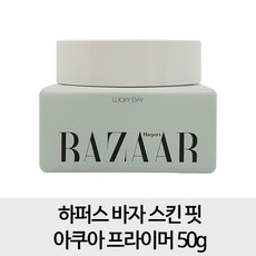 하퍼스바자스타쿠션