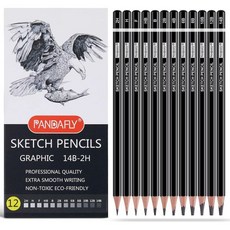 PANDAFLY 전문 드로잉 스케치 연필 세트 흑연 12개14B 2H 아트 음영 초보자 및 프로 아티스트를 위한 아티스트 연필에 이상적