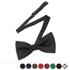 남자어린이보타이