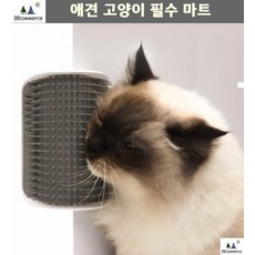 시추 털윤기 털관리 아카타 장모묘 셀프그루밍 그루머 웨스티 빠진털제거 반려견털관리 닥스훈트