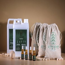리얼편백 새집증후군 제거 패키지 20평 이상, 1개
