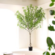 인테리어 대형 조화나무 인조나무 매장 카페 Y형 소원나무 인조목, Y형 마취목 200cm, 1개