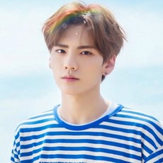 남자 가발 군인 20대 중년 탈모용 통가발 모음 J