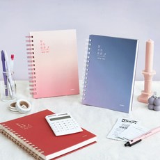 아이패드가계부
