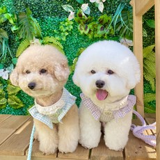 [개달당]입으면 더예쁜 하네스+리드줄세트_강아지하네스, 옐로우체크+매듭리드줄, 1개