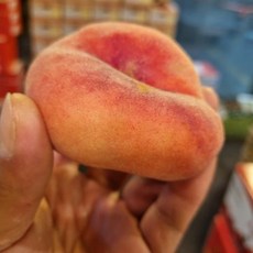 납작복숭아-추천-상품