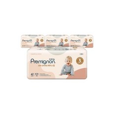 팸퍼스에어차차체험팩