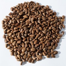 하선사료 하선사료 멸균 피잣 / 반려조 멸균식품 개별알곡 새모이 간식, 비멸균 피잣 1kg