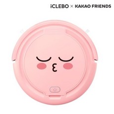 아이클레보