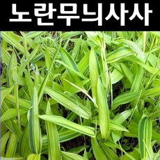 상록농원