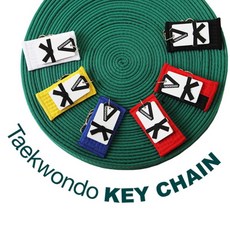 태권도단증케이스