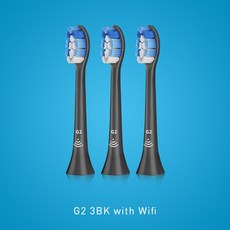 필립스칫솔모g2