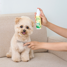 자외선차단올인원