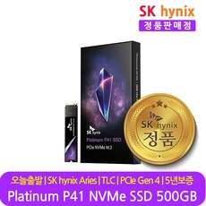 SK하이닉스 정품 SSD Platinum P41 NVMe PCIe Gen 4.0 M.2 2280, SK하이닉스 Platinum P41 500GB
