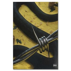 포스트말론앨범