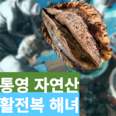 정성백 자연산 활전복 통영 해녀 채취 1Kkg기준, 4미(특대)