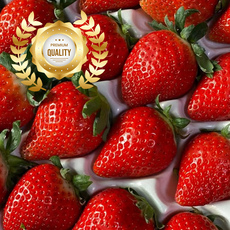 [재구매율1위]14brix 새콤달콤 생 설향 딸기, 1박스, 700g 한입과 (42과)