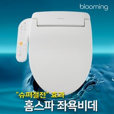 블루밍 필터없는 홈스파 좌욕 비데, ICON-Y331TB(자가설치)