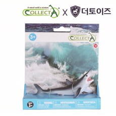 청상아리